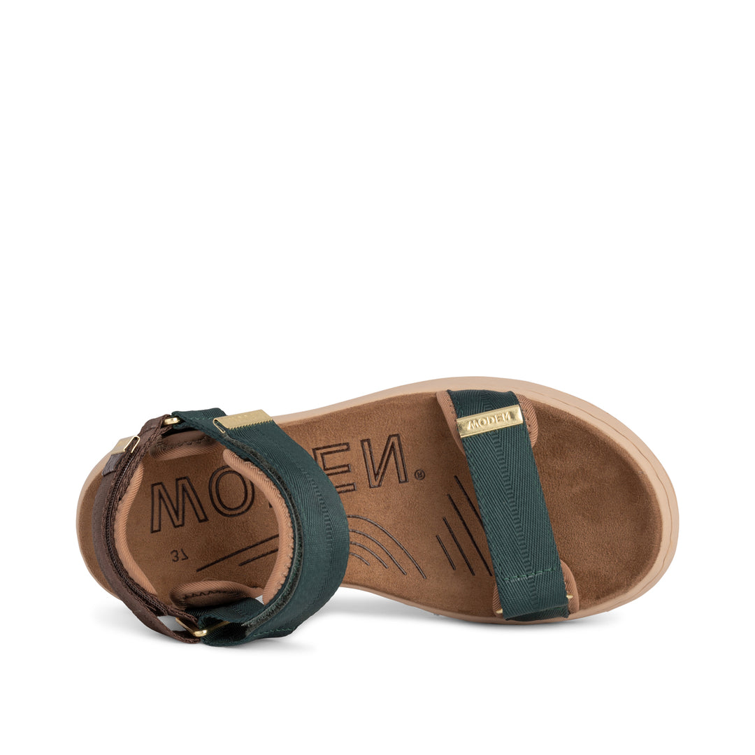 Line - Deep Forest/Chocolate – woden.com Line - Deep Forest/Chocolate – woden.com