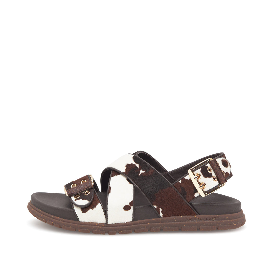 (取寄) コンフォーティヴァ レディース フォールストン women Fallston Bridle Wild 取寄) コンフォーティヴァ レディース フォールストン Comfortiva